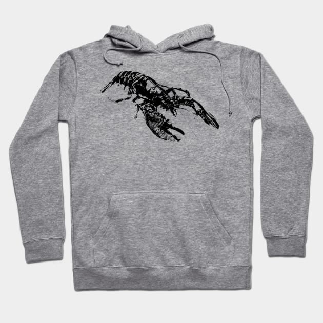 Lobster Hoodie by Nimmersatt